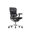 Picture of Ergohuman Elite Mesh Chair