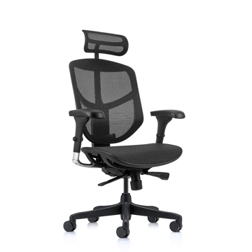 Picture of Enjoy Lite Mesh Chair