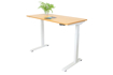 Picture of R600 1200 x 600 Electric Height Adjustable Desk