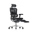 Picture of Ergohuman Elite Mesh Chair