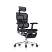 Picture of Ergohuman Elite Mesh Chair